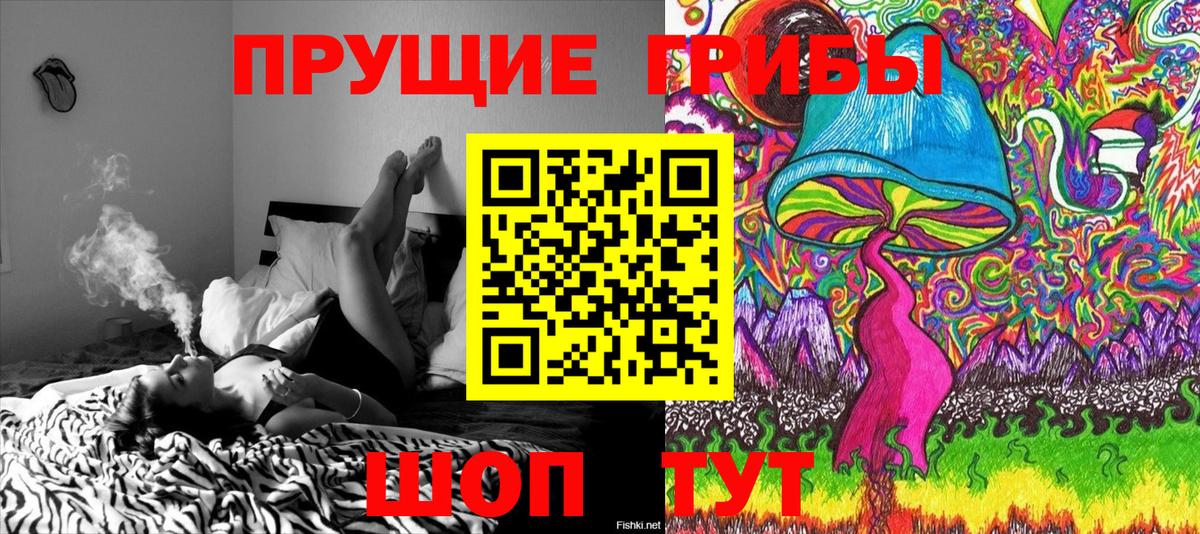 Псилоцибиновые грибы MAGIC MUSHROOMS  Вход с VPN  Ртищево 